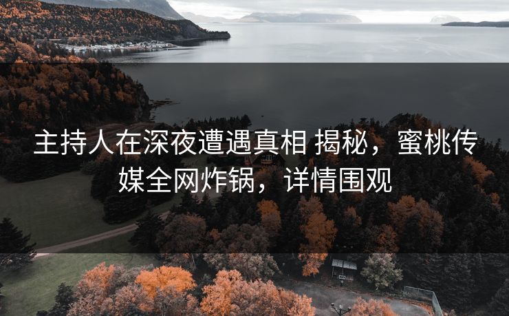 主持人在深夜遭遇真相 揭秘，蜜桃传媒全网炸锅，详情围观