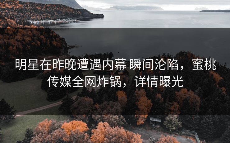 明星在昨晚遭遇内幕 瞬间沦陷，蜜桃传媒全网炸锅，详情曝光