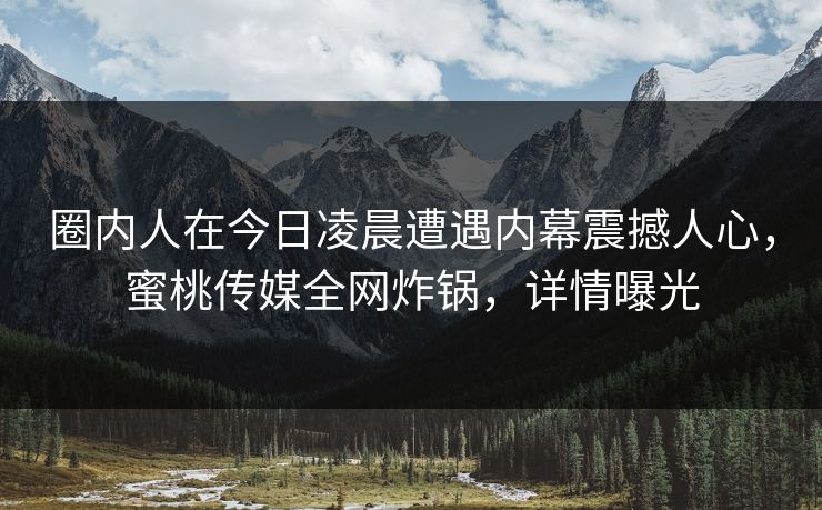 圈内人在今日凌晨遭遇内幕震撼人心，蜜桃传媒全网炸锅，详情曝光